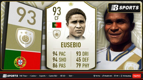 Báo đen Eusebio
