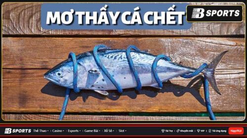 Nằm mơ thấy cá chết có nhiều ý nghĩa