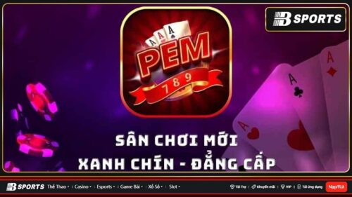 Tổng quan về sân chơi Pem789