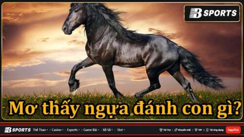 Khám phá về những giấc mơ thấy con ngựa