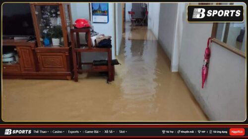 Mơ thấy bản thân đang lội trong căn nhà ngập nước