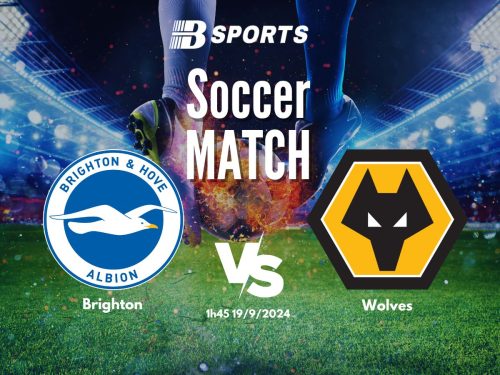 soi kèo Brighton vs Wolves, soi kèo, nhận định bóng đá, Bsports