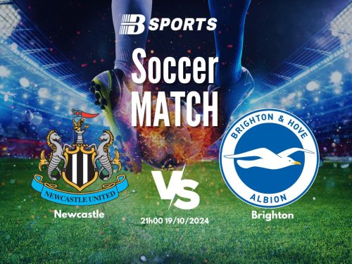 soi kèo Newcastle vs Brighton, soi kèo, nhận định bóng đá, Bsports